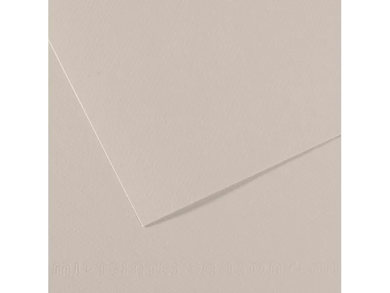 Carta Colorata Mi-Teintes Canson - A4 - 160 g - C31032S009 (Grigio Perla Conf. 25)