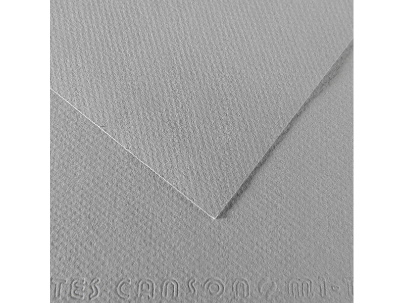 Carta Colorata Mi-Teintes Canson - A4 - 160 g - C31032S010 (Grigio Flanella Conf. 25)