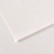 Carta Colorata Mi-Teintes Canson - A4 - 160 g - C31027S001 (Bianco Conf. 25)