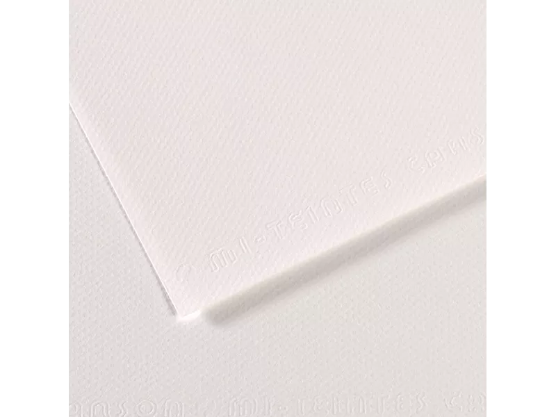 Carta Colorata Mi-Teintes Canson - A4 - 160 g - C31027S001 (Bianco Conf. 25)