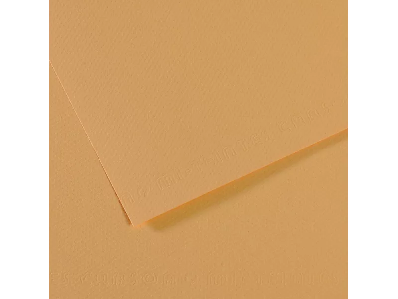 Carta Colorata Mi-Teintes Canson - A4 - 160 g - C31032S013 (Canapa Chiara Conf. 25)