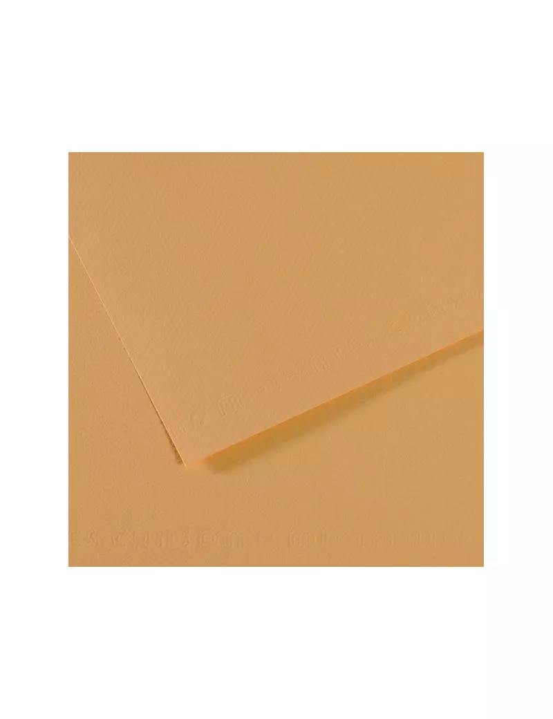 Carta Colorata Mi-Teintes Canson - A4 - 160 g - C31032S013 (Canapa Chiara Conf. 25)