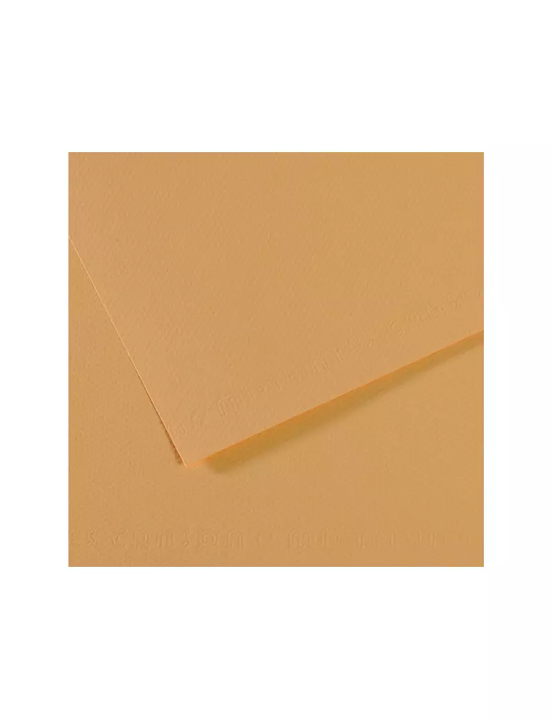 Carta Colorata Mi-Teintes Canson - A4 - 160 g - C31032S013 (Canapa Chiara Conf. 25) Carta Colorata Mi-Teintes Canson - A4 - 160 g - C31032S013 (Canapa Chiara Conf. 25)