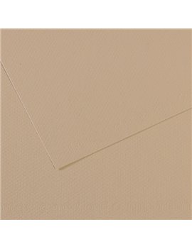 Carta Colorata Mi-Teintes Canson - A4 - 160 g - C31032S014 (Grigio Trianon Conf. 25)