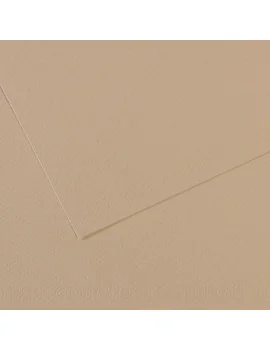 Carta Colorata Mi-Teintes Canson - A4 - 160 g - C31032S014 (Grigio Trianon Conf. 25)