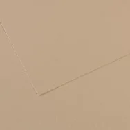 Carta Colorata Mi-Teintes Canson - A4 - 160 g - C31032S014 (Grigio Trianon Conf. 25)