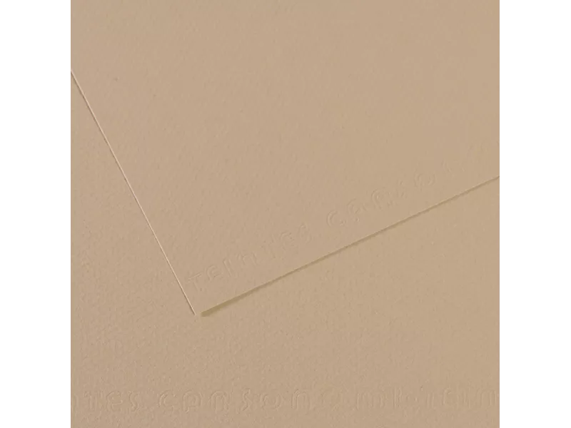 Carta Colorata Mi-Teintes Canson - A4 - 160 g - C31032S014 (Grigio Trianon Conf. 25)
