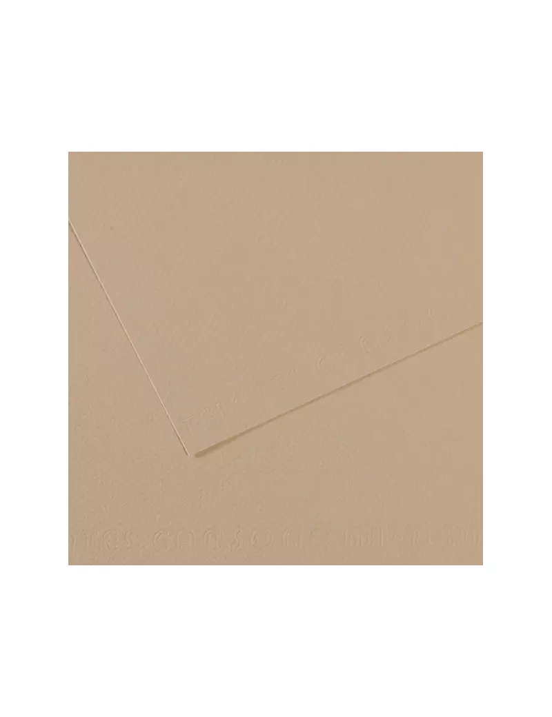 Carta Colorata Mi-Teintes Canson - A4 - 160 g - C31032S014 (Grigio Trianon Conf. 25)