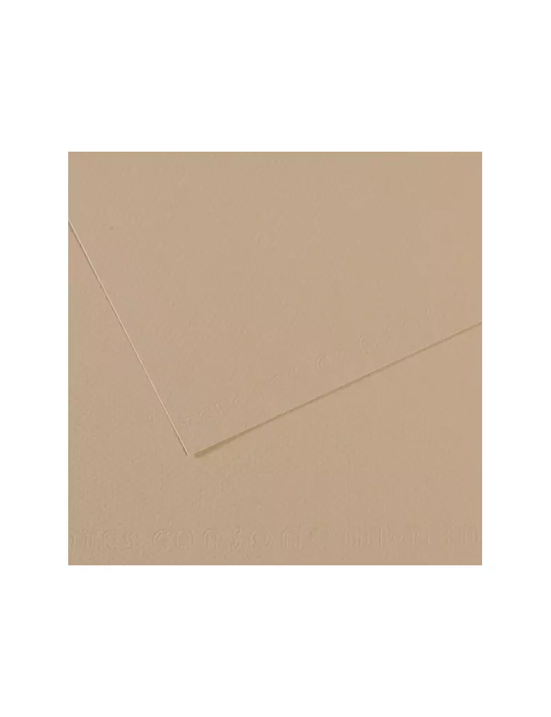 Carta Colorata Mi-Teintes Canson - A4 - 160 g - C31032S014 (Grigio Trianon Conf. 25) Carta Colorata Mi-Teintes Canson - A4 - 160 g - C31032S014 (Grigio Trianon Conf. 25)