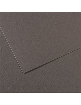 Carta Colorata Mi-Teintes Canson - A4 - 160 g - C31032S015 (Grigio Ardesia Conf. 25)