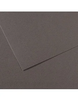 Carta Colorata Mi-Teintes Canson - A4 - 160 g - C31032S015 (Grigio Ardesia Conf. 25)