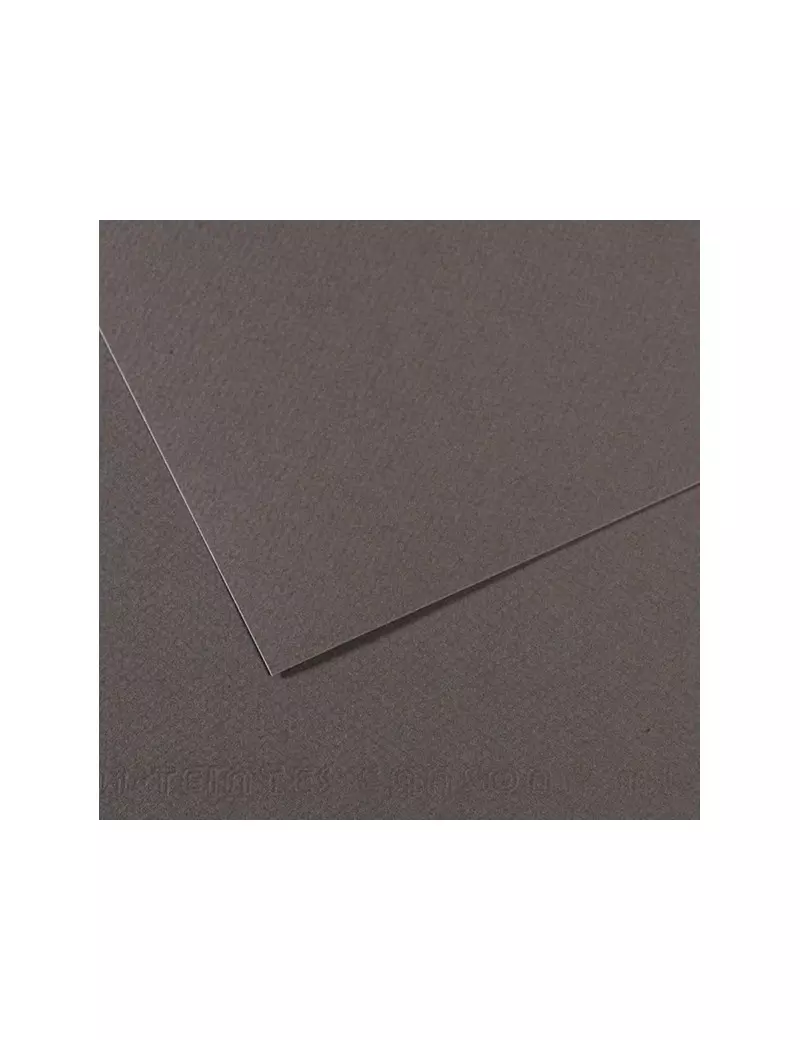 Carta Colorata Mi-Teintes Canson - A4 - 160 g - C31032S015 (Grigio Ardesia Conf. 25)