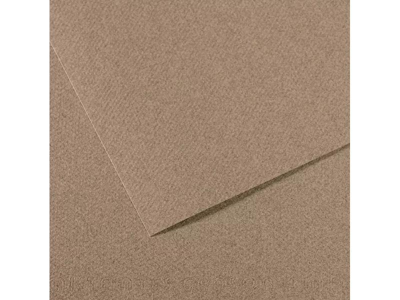 Carta Colorata Mi-Teintes Canson - A4 - 160 g - C31033S035 (Grigio Screziato Conf. 25)