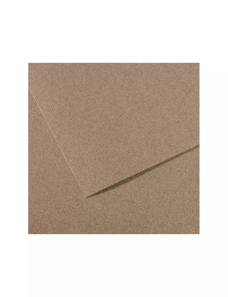 Carta Colorata Mi-Teintes Canson - A4 - 160 g - C31033S035 (Grigio Screziato Conf. 25)