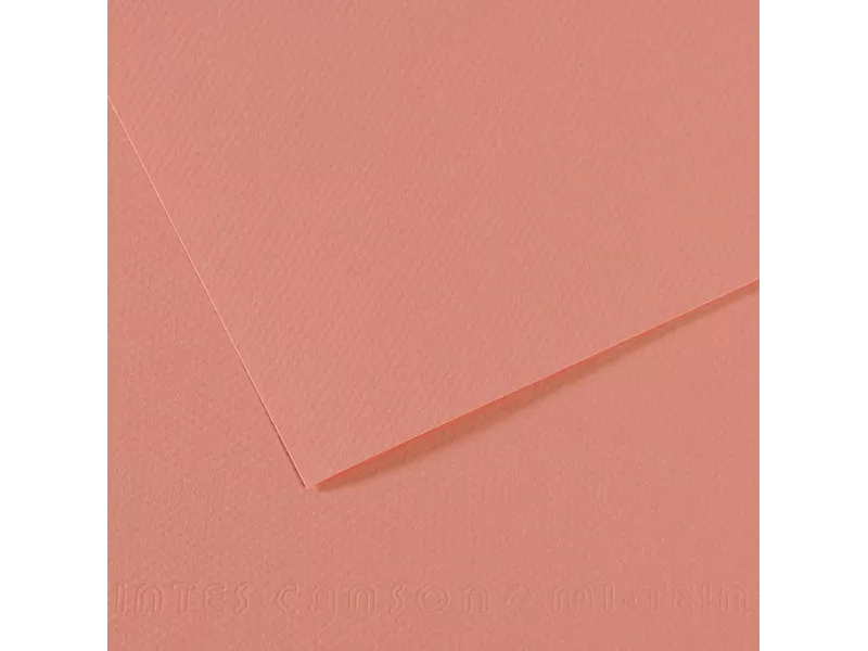 Carta Colorata Mi-Teintes Canson - A4 - 160 g - C31032S016 (Rosa Scuro Conf. 25)