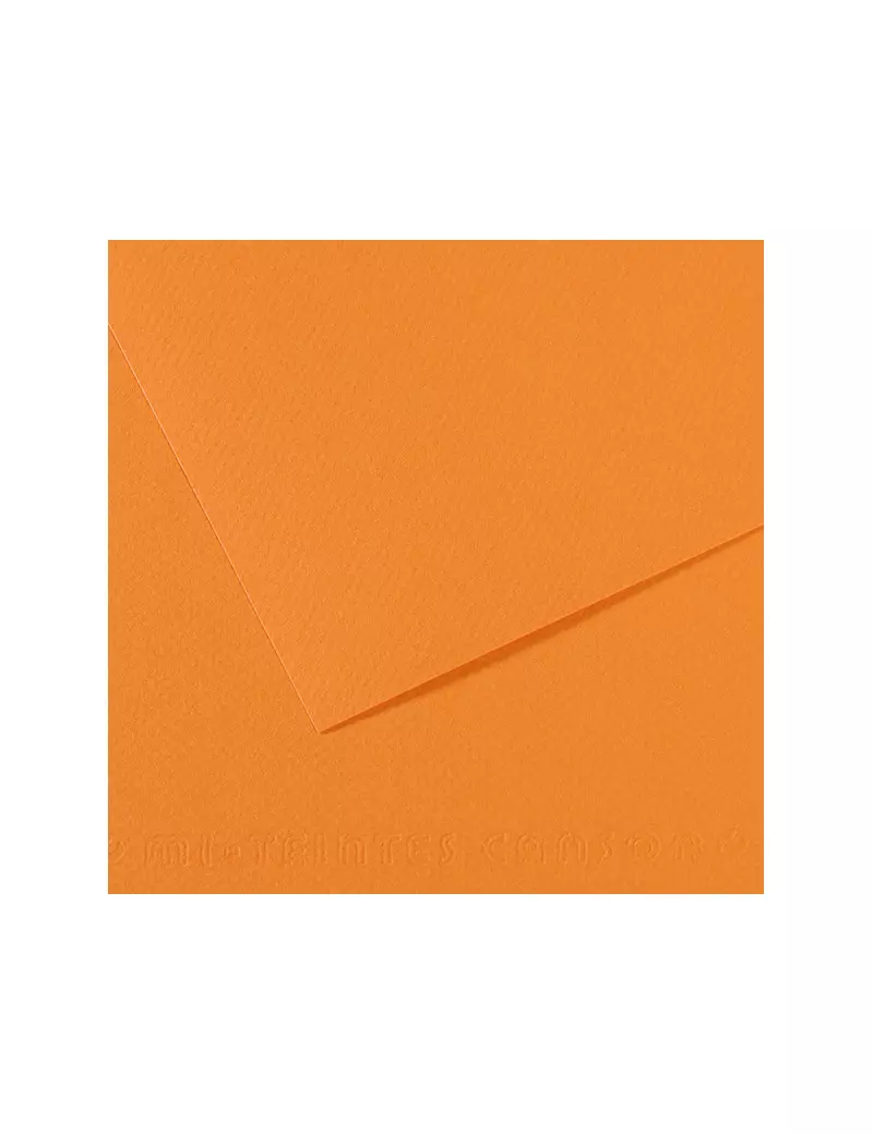 Carta Colorata Mi-Teintes Canson - A4 - 160 g - C31032S017 (Salmone Conf. 25) Carta Colorata Mi-Teintes Canson - A4 - 160 g - C31032S017 (Salmone Conf. 25)