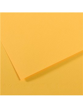 Carta Colorata Mi-Teintes Canson - A4 - 160 g - C31032S018 (Botton d'Oro Conf. 25)