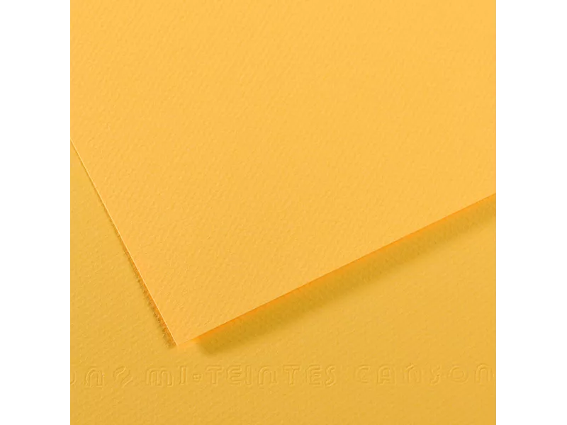 Carta Colorata Mi-Teintes Canson - A4 - 160 g - C31032S018 (Botton d'Oro Conf. 25)