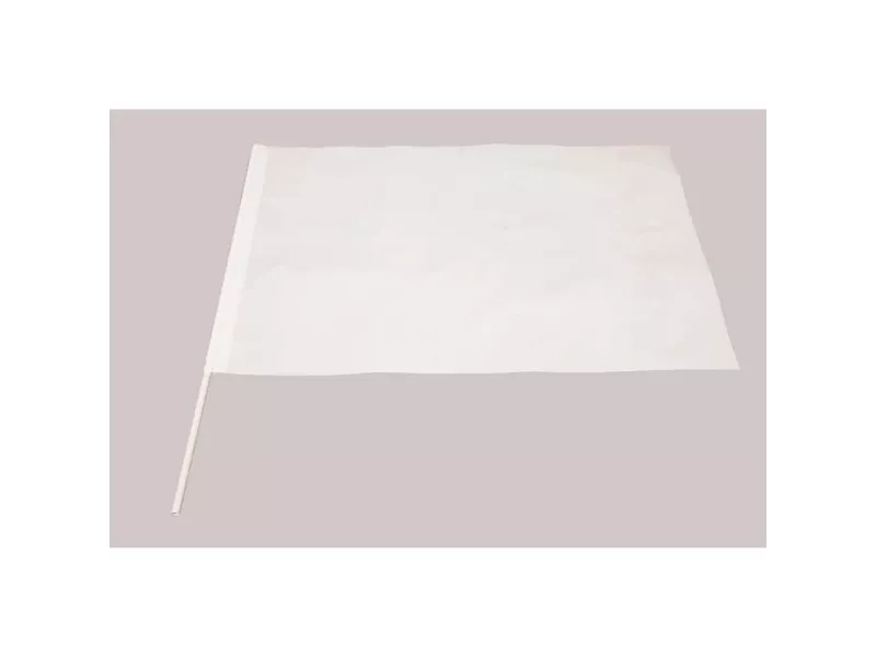 Bandierina PVC - 60x40 cm (Bianco)