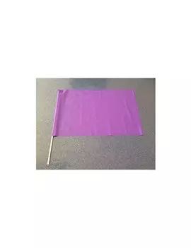 Bandierina in PVC - 60x40 cm (Viola)