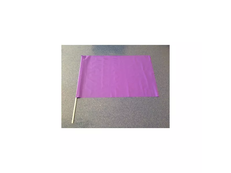 Bandierina in PVC - 60x40 cm (Viola)