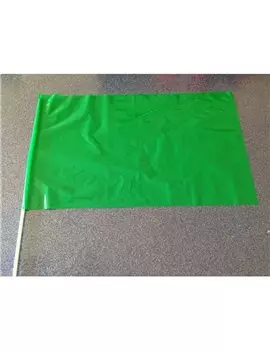 Bandierina in PVC - 60x40 cm (Verde)