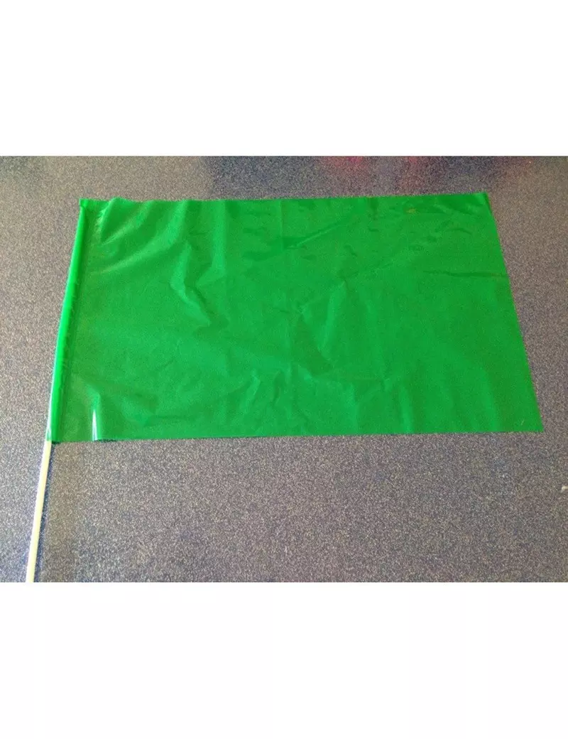 Bandierina in PVC - 60x40 cm (Verde)