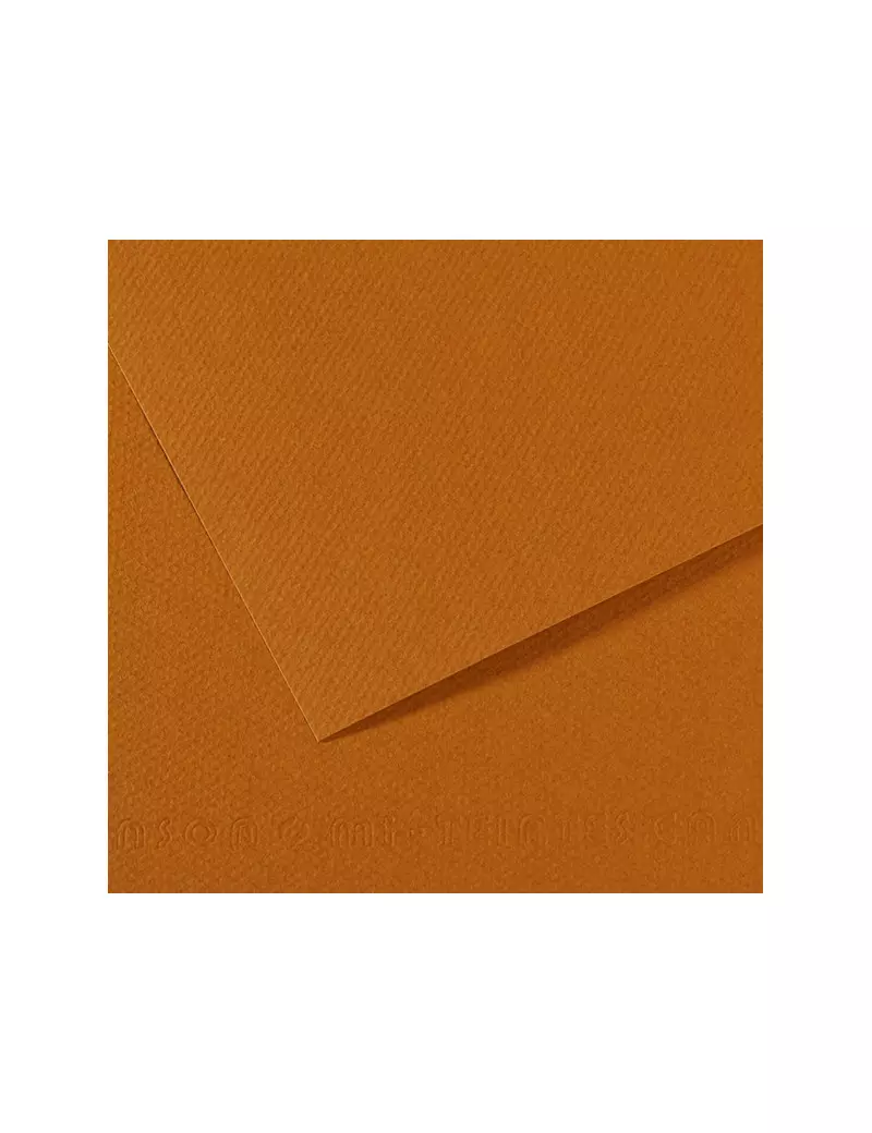 Carta Colorata Mi-Teintes Canson - A4 - 160 g - C31032S024 (Avana Chiaro Conf. 25) Carta Colorata Mi-Teintes Canson - A4 - 160 g - C31032S024 (Avana Chiaro Conf. 25)