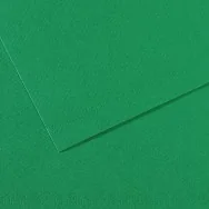 Carta Colorata Mi-Teintes Canson - A4 - 160 g - C31032S029 (Verde Biliardo Conf. 25)