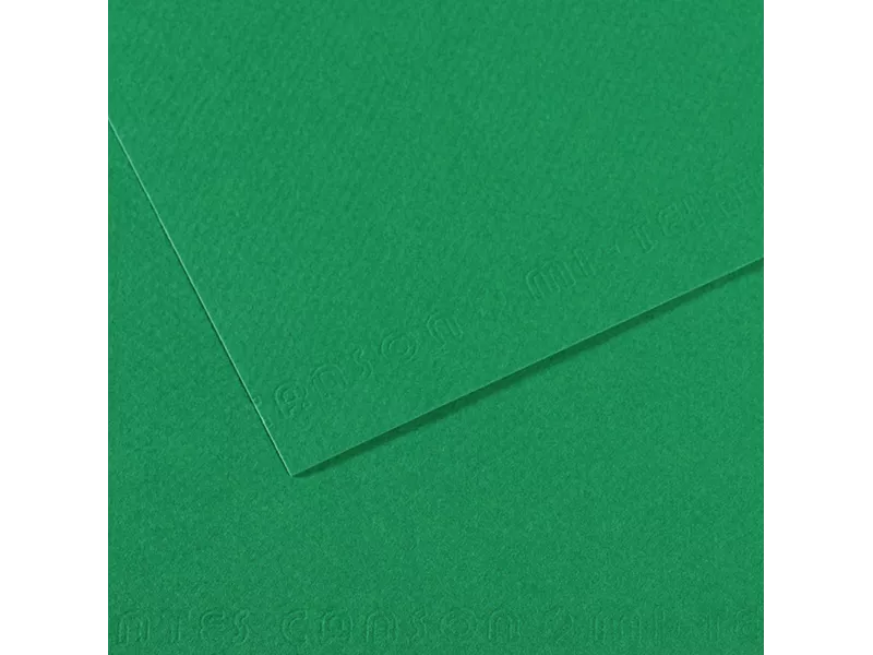 Carta Colorata Mi-Teintes Canson - A4 - 160 g - C31032S029 (Verde Biliardo Conf. 25)