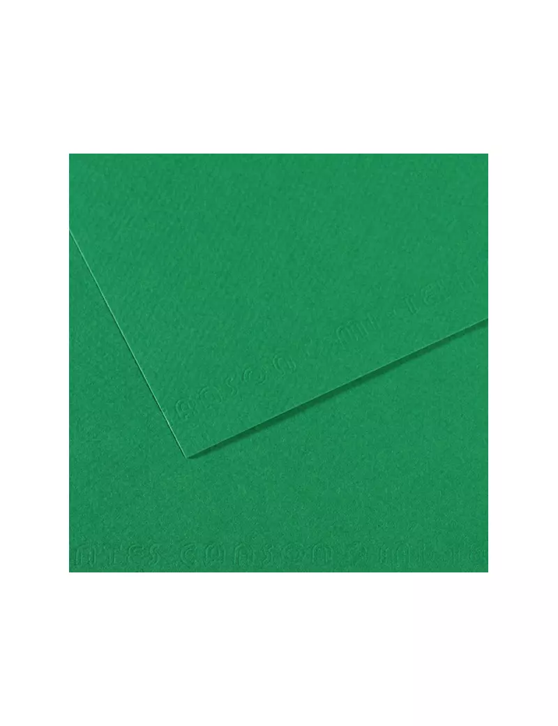 Carta Colorata Mi-Teintes Canson - A4 - 160 g - C31032S029 (Verde Biliardo Conf. 25)
