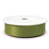 Nastro Doppio Raso Brizzolari - 25 mm x 25 m - 01232764 (Verde Salvia)
