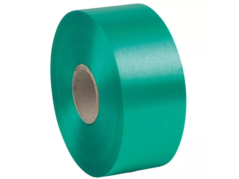 Nastro per Regali 6800 Brizzolari - 50 mm x 100 m - 00366309 (Verde Bandiera)
