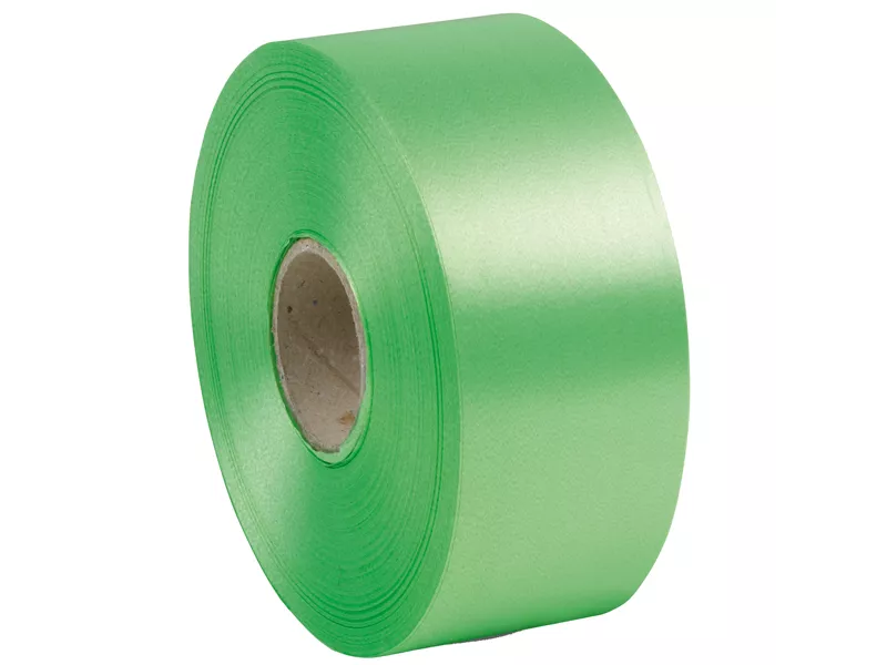 Nastro per Regali 6800 Brizzolari - 50 mm x 100 m - 00366310 (Verde Chiaro)