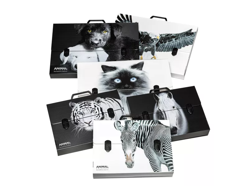Valigetta in Polionda Animal Friends Ri.Plast - 38x53x5 cm - 6438535200BW (Assortiti) Valigetta in Polionda Animal Friends Ri.Plast - 38x53x5 cm - 6438535200BW (Assortiti)