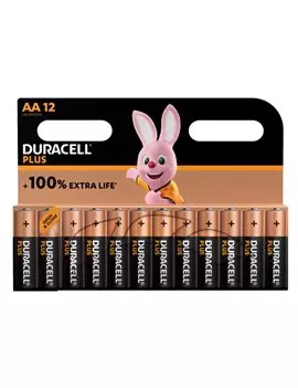 Pile Duracell Plus - Stilo AA - DU0121 (Conf. 12)