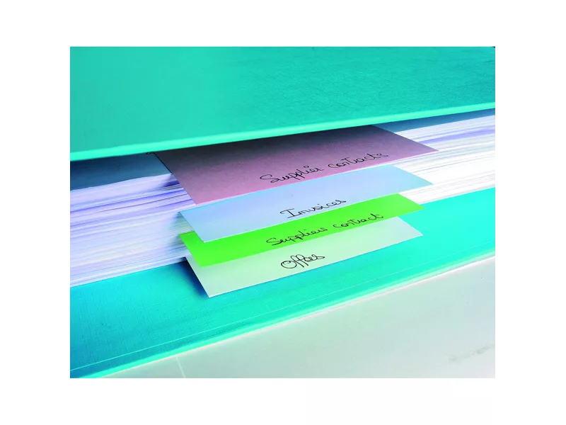 Separatori Orizzontali Forever Exacompta - 10,5x24 cm - 13495B (Assortiti Conf. 100)