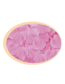 Petali di Rosa Big Party - 15063 (Rosa Conf. 144)