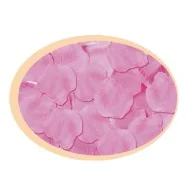 Petali di Rosa Big Party - 15063 (Rosa Conf. 144)