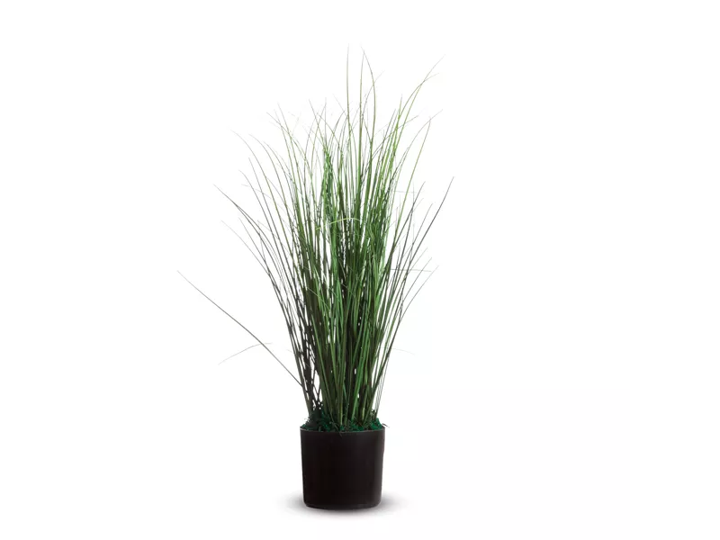 Pianta Ornamentale Paperflow - Erba - 55 cm K700130 (Verde)