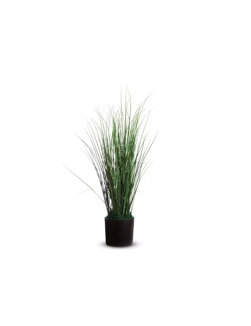Pianta Ornamentale Paperflow - Erba - 55 cm K700130 (Verde) Pianta Ornamentale Paperflow - Erba - 55 cm K700130 (Verde)