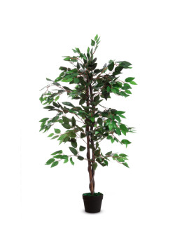 Pianta Ornamentale Paperflow - Ficus - 120 cm - K700136 (Verde)