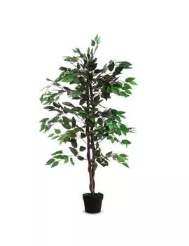 Pianta Ornamentale Paperflow - Ficus - 120 cm - K700136 (Verde)