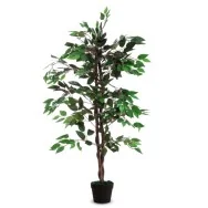 Pianta Ornamentale Paperflow - Ficus - 120 cm - K700136 (Verde)