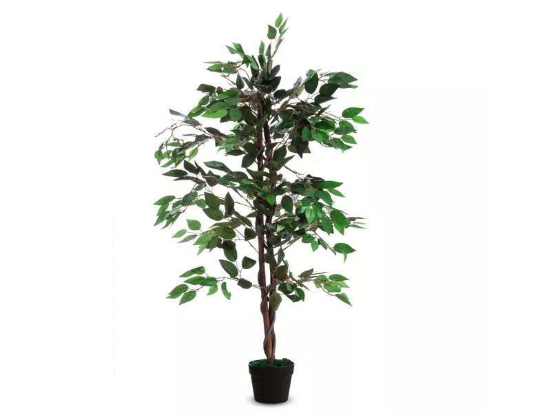 Pianta Ornamentale Paperflow - Ficus - 120 cm - K700136 (Verde)