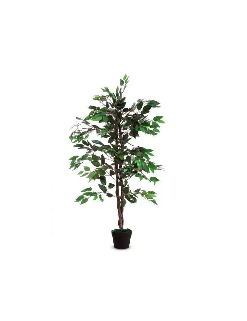 Pianta Ornamentale Paperflow - Ficus - 120 cm - K700136 (Verde)