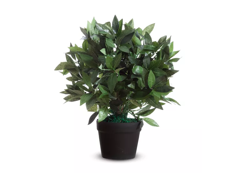 Pianta Ornamentale Paperflow - Lauro - 50 cm - K700134 (Verde) Pianta Ornamentale Paperflow - Lauro - 50 cm - K700134 (Verde)