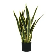 Pianta Ornamentale Paperflow - Lauro - 75 cm - P2150075 (Verde)