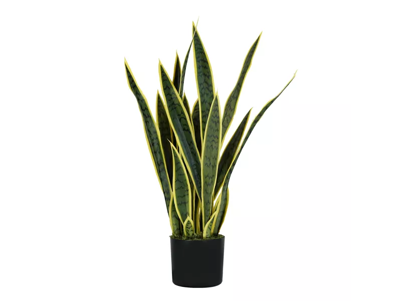 Pianta Ornamentale Paperflow - Lauro - 75 cm - P2150075 (Verde)