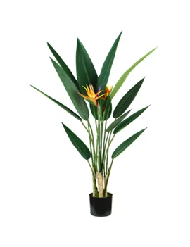 Pianta Ornamentale King Collection - Sterlizia - 120 cm - P2150598 (Verde)